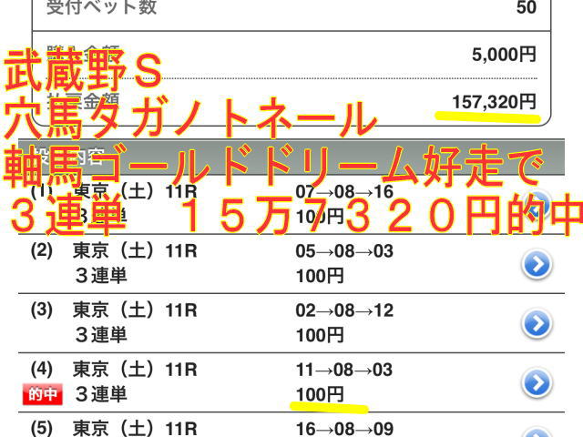 マイルチャンピオンシップと武蔵野Ｓ　３連単１５万７千円馬券的中報告