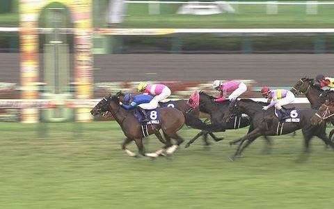 月曜日阪神競馬また延期とスプリンターズステークスレース回顧