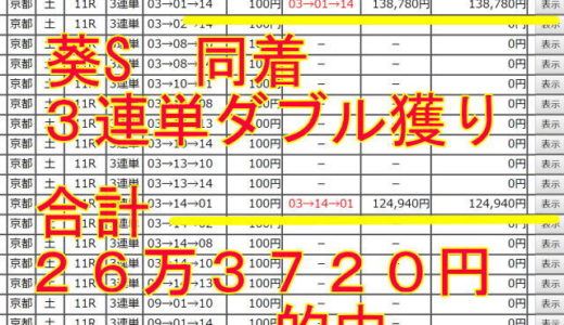 葵S　３連単　１３万８７８０円、１２万４９４０円ダブル的中とダービー週末展望動画