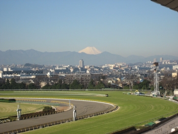 東京開幕と富士山