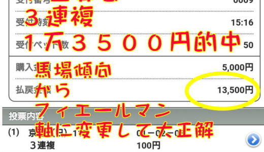 天皇賞春　３連複　１万３５００円的中と悔しい的中レース回顧