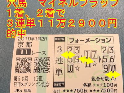 シンザン記念　３連単１１万２９００円的中と裏メルマガ　マイネルフラップ公開