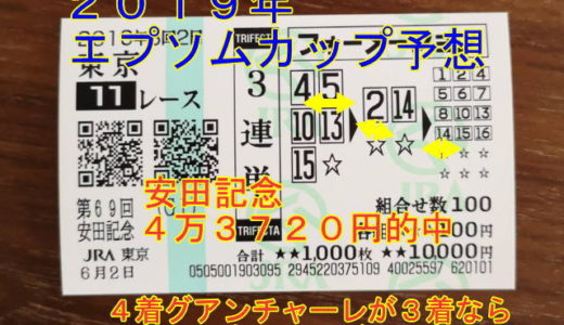 安田記念３連単４万３７２０円的中とエプソムカップ