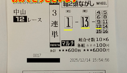 ３連単　３５万５５４０円的中馬券